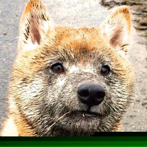 “2025世界运动会:简阳文体中心羽毛球赛事燃爆全场”