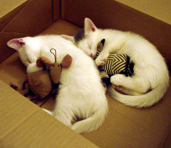 mk体育官方网站-体测系统全国联网数据实现统一监管，体测网站查询系统