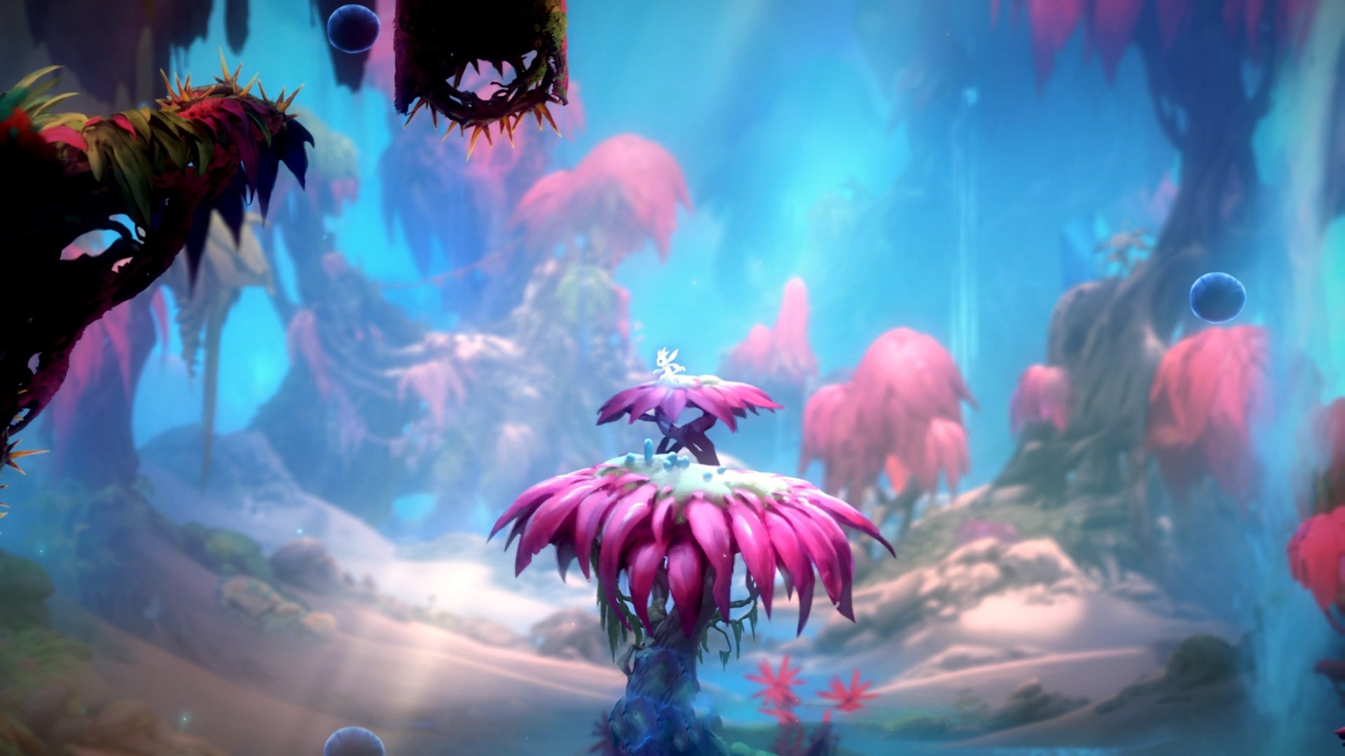 体测系统全国联网数据实现统一监管,体测网站查询系统