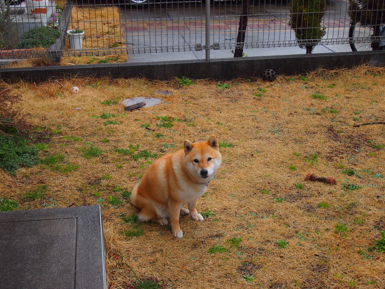 mk体育下载-全运会赛事口号发布体现时代精神，全运会赛事口号发布体现时代精神的句子