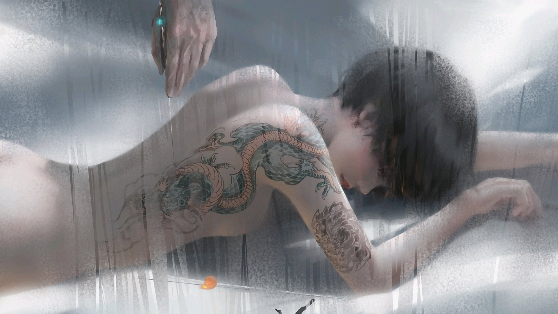 女子200蝶成绩–配速剖面对比曲线,女子200米蝶泳决赛录像