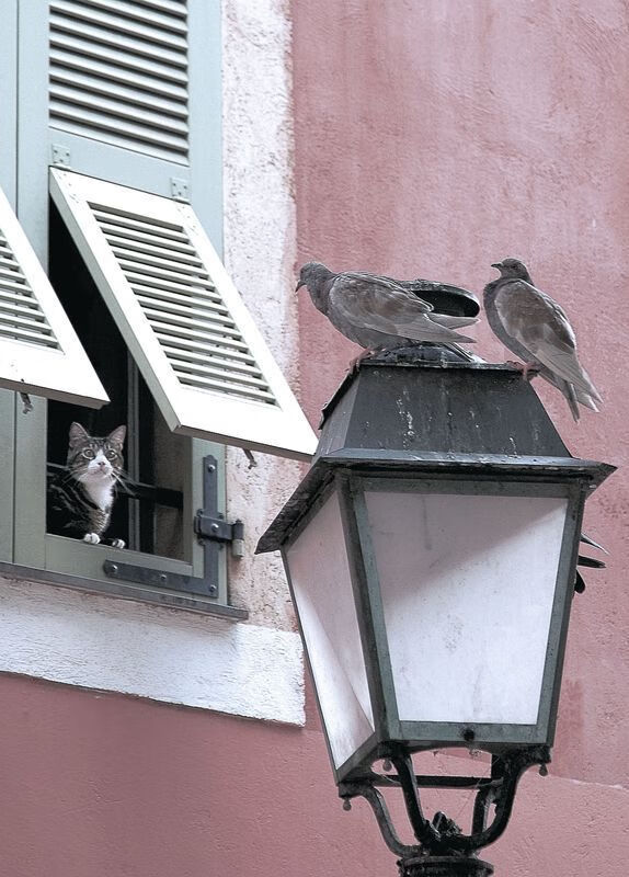 mk体育平台网页版入口-巴黎中场调度精准掌控全场节奏，巴黎 主场