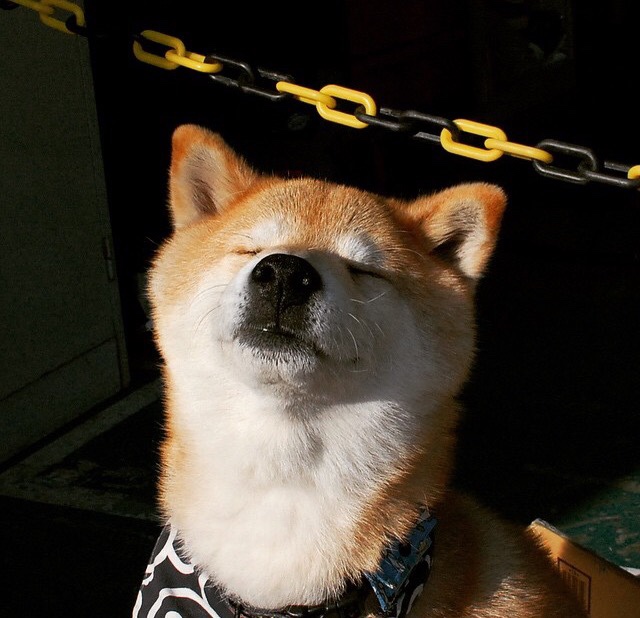 搏击台上选手实力对决精彩纷呈,搏击擂台