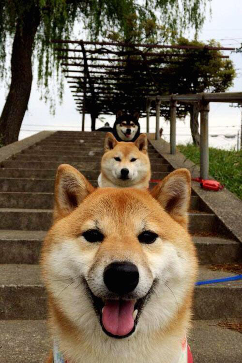 mk体育全站-“华金·托比利亚的反击能力与迅速转换，成为美洲狮队防守中的重要一环”