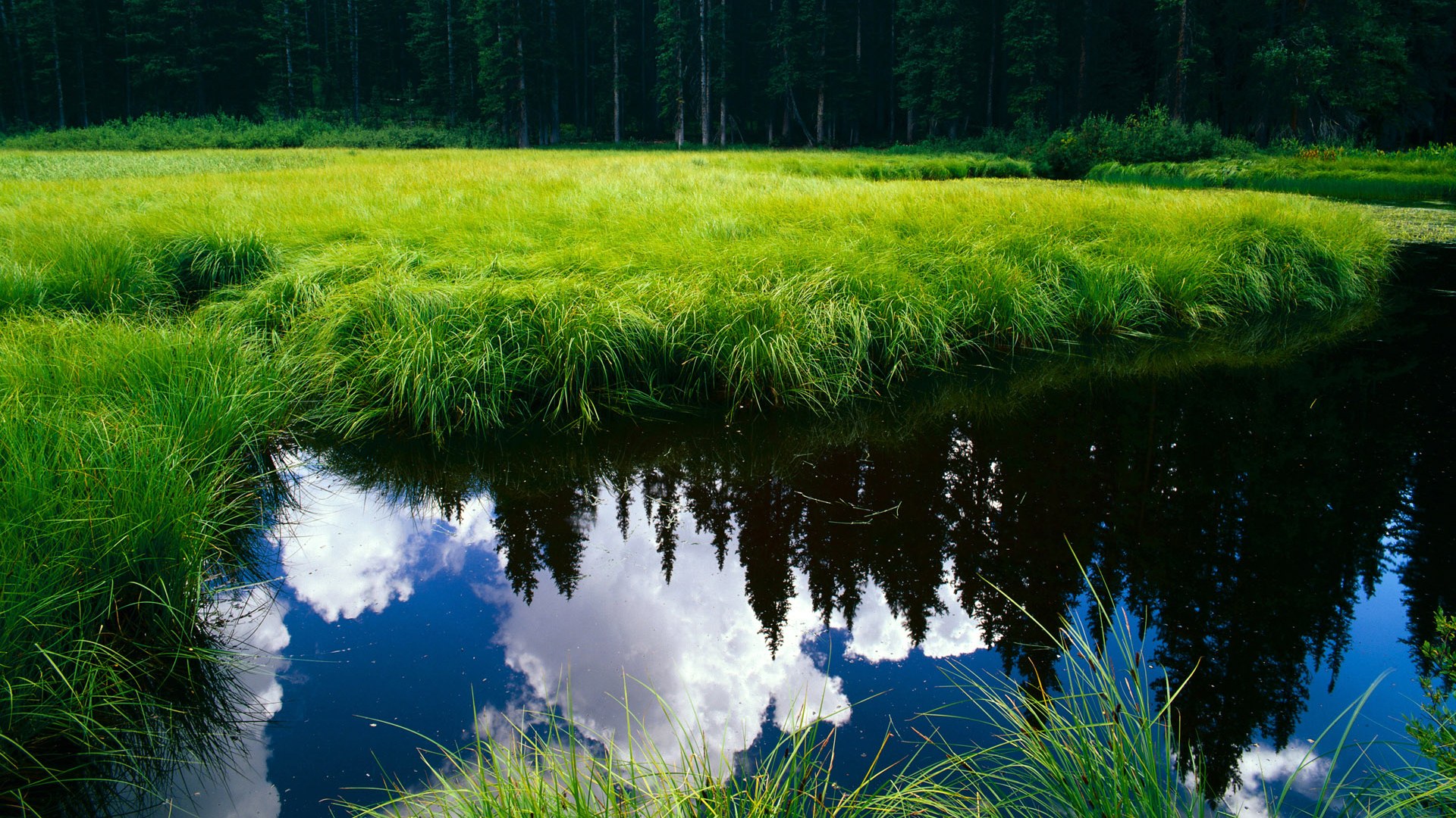 mk体育官网-体育新闻中心通报全国体育基础设施改造进展，体育基础设施建设包括哪些