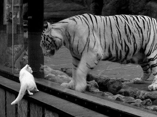 俱乐部年度预算公布,投入重点转向青训,俱乐部的预算分析