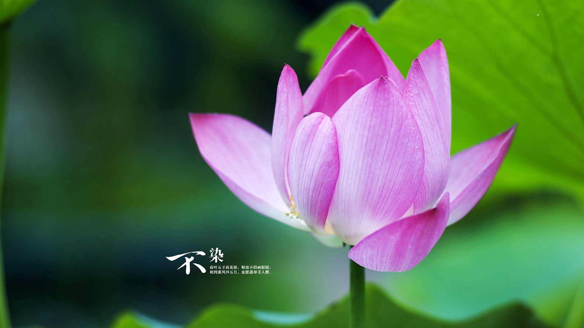 冬季滑雪项目进入暑期训练模式,冬季滑雪的好处是什么