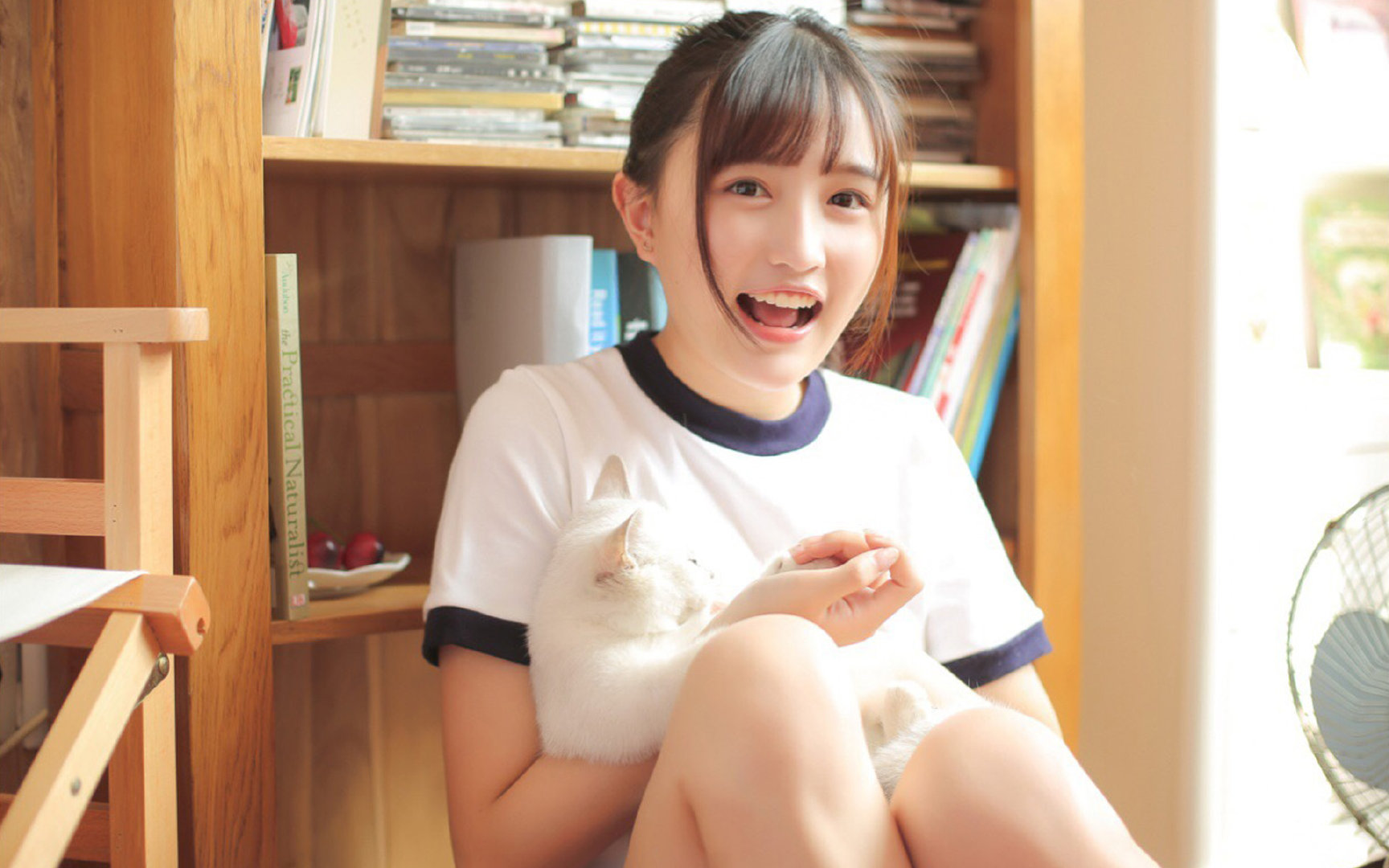 希腊女篮在欧洲锦标赛中再夺佳绩,保持传统强队风采,希腊队 欧洲杯