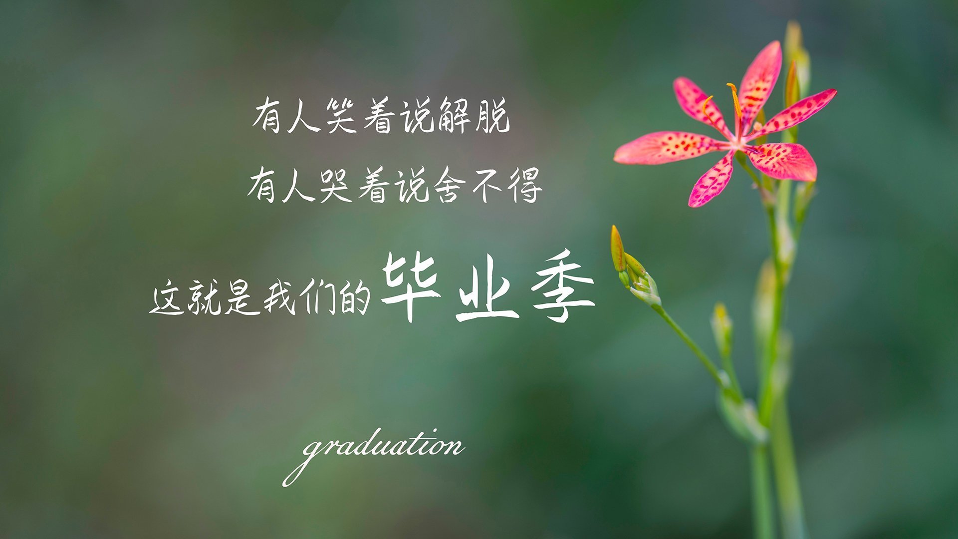 希腊男篮在欧洲锦标赛中表现出色,夺冠在望,希腊男篮实力如何