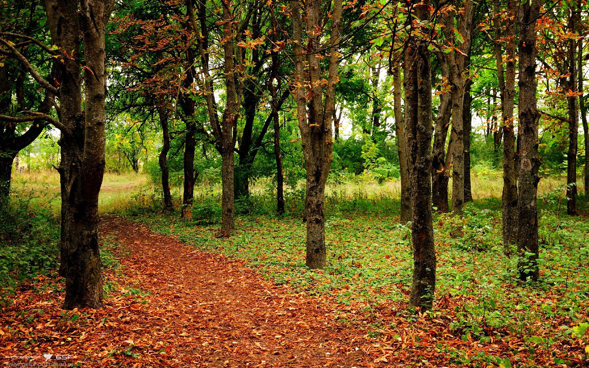 德甲攻防瞬间:攻城略地的精彩战术,德甲防守最好的球队